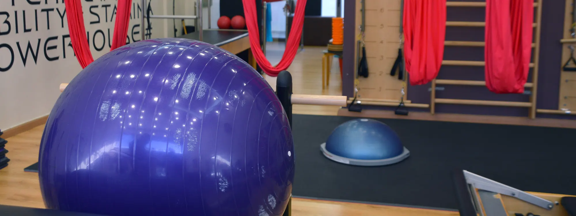 Exercise ball and bosu in front of the silks